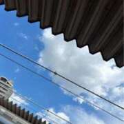 ヒメ日記 2025/09/02 12:02 投稿 あおい 逢って30秒で即尺