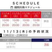 ヒメ日記 2025/11/13 16:12 投稿 あおい 逢って30秒で即尺