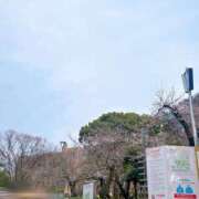 ヒメ日記 2026/03/20 15:00 投稿 あおい 逢って30秒で即尺