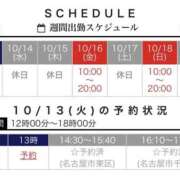 ヒメ日記 2026/10/13 10:14 投稿 あおい 逢って30秒で即尺