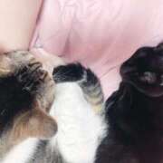 ヒメ日記 2025/03/03 20:02 投稿 いちご ラブストーリー池袋(ユメオト)