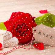 ヒメ日記 2025/02/22 17:52 投稿 畑野りえ 五十路マダム　和歌山店