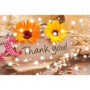 ヒメ日記 2025/04/25 22:22 投稿 畑野りえ 五十路マダム　和歌山店