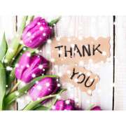 ヒメ日記 2025/05/09 20:24 投稿 畑野りえ 五十路マダム　和歌山店