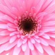 ヒメ日記 2025/07/24 17:24 投稿 畑野りえ 五十路マダム　和歌山店