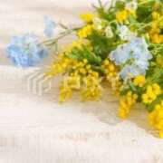 ヒメ日記 2025/09/04 17:30 投稿 畑野りえ 五十路マダム　和歌山店