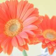 ヒメ日記 2025/10/31 22:06 投稿 畑野りえ 五十路マダム　和歌山店