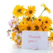 ヒメ日記 2026/01/21 16:10 投稿 畑野りえ 五十路マダム　和歌山店