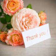 ヒメ日記 2026/04/12 15:42 投稿 畑野りえ 五十路マダム　和歌山店