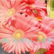 ヒメ日記 2026/04/16 16:14 投稿 畑野りえ 五十路マダム　和歌山店