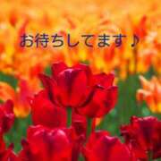 ヒメ日記 2026/05/22 22:16 投稿 畑野りえ 五十路マダム　和歌山店