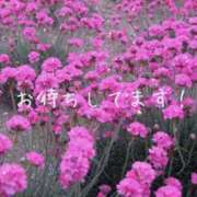 ヒメ日記 2026/05/23 22:10 投稿 畑野りえ 五十路マダム　和歌山店