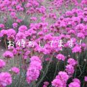 ヒメ日記 2026/06/11 16:20 投稿 畑野りえ 五十路マダム　和歌山店