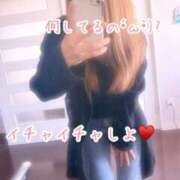 ヒメ日記 2025/04/09 13:48 投稿 つばさ☆美人なM奥様 松戸人妻城