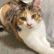 ヒメ日記 2025/07/23 09:56 投稿 つばさ☆美人なM奥様 松戸人妻城