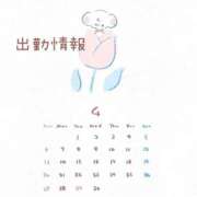 ヒメ日記 2025/04/09 19:03 投稿 早乙女るな しこたま奥様 横浜店