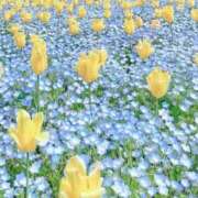 ヒメ日記 2025/05/21 07:22 投稿 早乙女るな しこたま奥様 横浜店