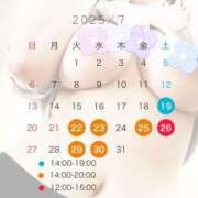 ヒメ日記 2025/07/19 15:29 投稿 KAORUKO TALL