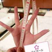 ヒメ日記 2025/07/24 07:59 投稿 KAORUKO TALL