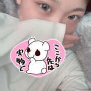 ヒメ日記 2025/04/29 09:45 投稿 さら 夜這い本舗