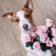 ヒメ日記 2025/03/15 17:29 投稿 かのん 熊本ちゃんこ　八代店