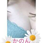 ヒメ日記 2025/04/19 09:19 投稿 かのん 熊本ちゃんこ　八代店