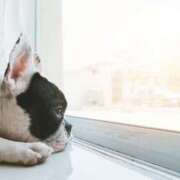 ヒメ日記 2025/04/19 20:19 投稿 かのん 熊本ちゃんこ　八代店