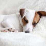 ヒメ日記 2025/04/19 23:39 投稿 かのん 熊本ちゃんこ　八代店