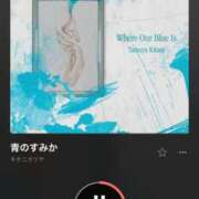 ヒメ日記 2025/05/15 16:47 投稿 えま★麗しきハイレベルF乳美女♪ ViVi-ヴィヴィ-(金津園)