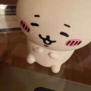 ヒメ日記 2025/01/25 10:12 投稿 たおまる ドンファン