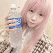 ヒメ日記 2025/04/15 16:20 投稿 ネコ【小柄なロリバニー】 バニーコレクション 中洲店