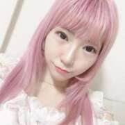 ヒメ日記 2025/04/15 18:31 投稿 ネコ【小柄なロリバニー】 バニーコレクション 中洲店