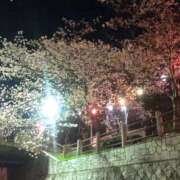 ヒメ日記 2025/04/15 20:07 投稿 ネコ【小柄なロリバニー】 バニーコレクション 中洲店