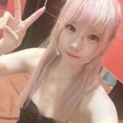 ヒメ日記 2025/04/20 15:43 投稿 ネコ【小柄なロリバニー】 バニーコレクション 中洲店