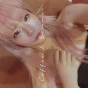 ヒメ日記 2025/04/21 21:36 投稿 ネコ【小柄なロリバニー】 バニーコレクション 中洲店