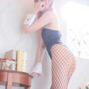 ヒメ日記 2025/08/20 07:30 投稿 ネコ【小柄なロリバニー】 バニーコレクション 中洲店