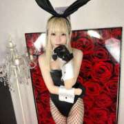 ネコ【小柄なロリバニー】 おっぱい🍒 バニーコレクション 中洲店