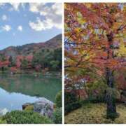 ヒメ日記 2025/11/23 21:47 投稿 安堂 Bell.Madonna（ベルマドンナ）