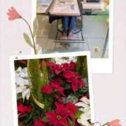 ヒメ日記 2025/12/15 19:57 投稿 安堂 Bell.Madonna（ベルマドンナ）