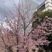 ヒメ日記 2025/04/04 09:00 投稿 つむぎ 奥鉄オクテツ東京店（デリヘル市場）