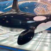 ヒメ日記 2025/04/13 18:50 投稿 つむぎ 奥鉄オクテツ東京店（デリヘル市場）