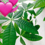 ヒメ日記 2025/08/17 10:00 投稿 つむぎ 奥鉄オクテツ東京店（デリヘル市場）