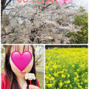 ヒメ日記 2026/03/29 12:30 投稿 つむぎ 奥鉄オクテツ東京店（デリヘル市場）