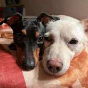 ヒメ日記 2025/02/22 16:30 投稿 カナメ Ageha(アゲハ)