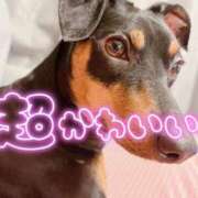 ヒメ日記 2025/05/13 18:50 投稿 カナメ Ageha(アゲハ)