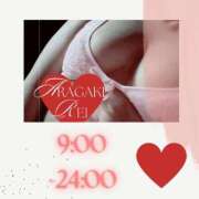 ヒメ日記 2025/02/19 23:54 投稿 新垣れい 日暮里ド淫乱倶楽部