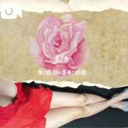 ヒメ日記 2025/05/06 09:04 投稿 新垣れい 日暮里ド淫乱倶楽部