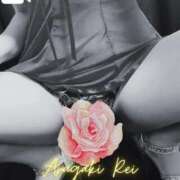 ヒメ日記 2025/09/04 14:14 投稿 新垣れい 日暮里ド淫乱倶楽部