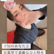 ヒメ日記 2025/10/25 08:04 投稿 新垣れい 日暮里ド淫乱倶楽部