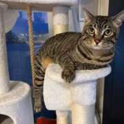 ヒメ日記 2025/02/06 09:05 投稿 カオル ドMな奥さん 日本橋店